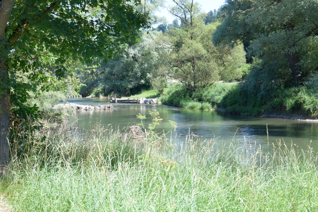 Neckarnaturweg